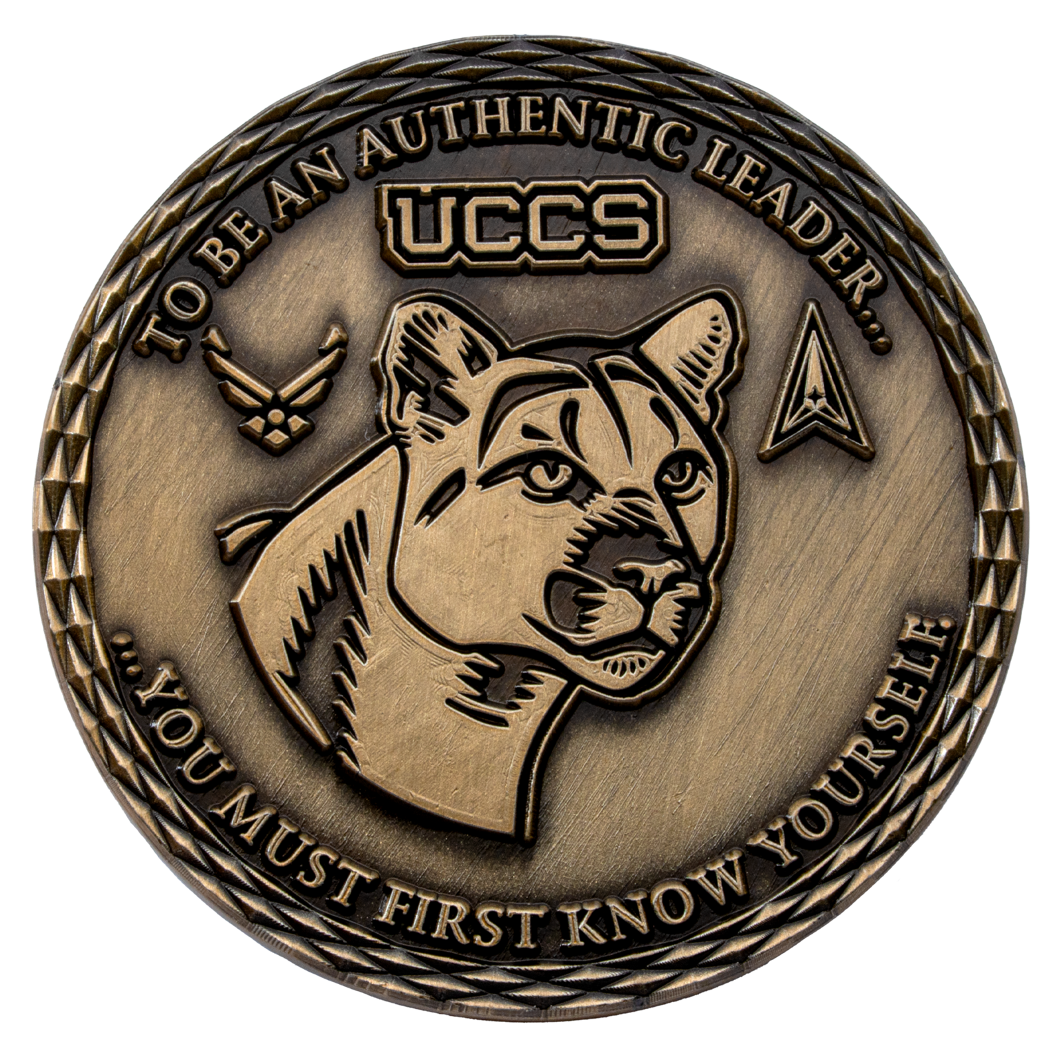 map[name:No Color naturalSort:No Color] map[name:Challenge Coins naturalSort:Challenge Coins]